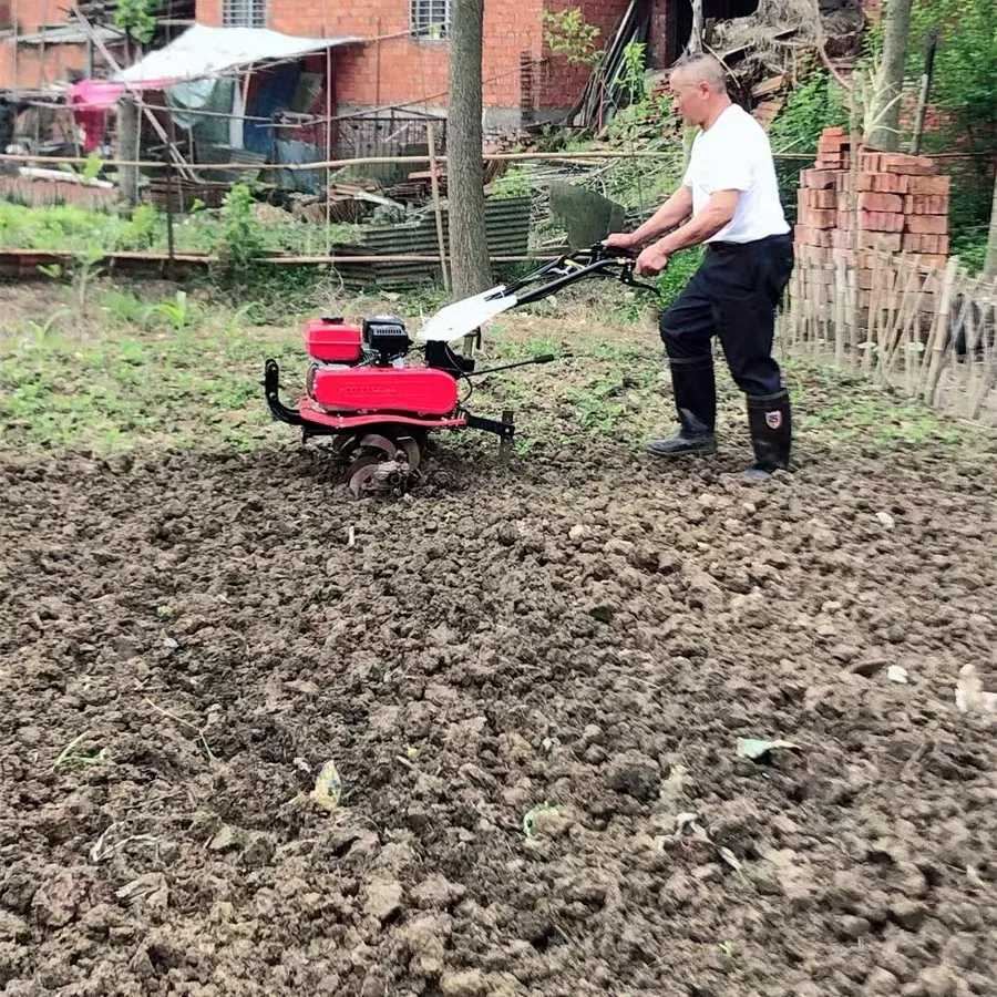 Gorąca Wyprzedaż Najlepszy Gle – Organic Farming In Agriculture recenzja i cena