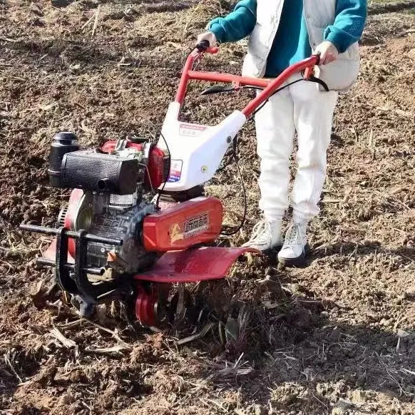 Gorąca Wyprzedaż Najlepszy Gle – Organic Farming In Agriculture recenzja i cena